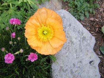 P6090020