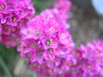 P6090034